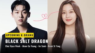 BLACK SALT DRAGON  Moon Ga Young Choi Hyun Wook New KDrama  Synopsis Cast [upl. by Monteith936]