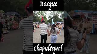 Explora El Bosque de Chapultepec en 1 Dia [upl. by Ogilvie]