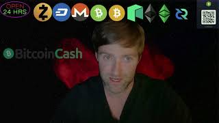 Bitcoin Cash bch is FAST money [upl. by Zzabahs]