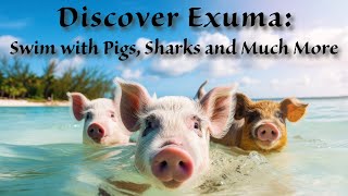 Discover Exuma Swim with Pigs Sharks and experience beautiful Beaches [upl. by Mercedes]