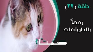 صمتاَ  رفقا بالطوافات  Samtan [upl. by Asiek920]