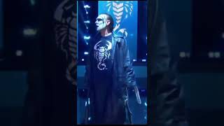 Sting’s Final Entrance  AEW Revolution 2024  3324 shorts [upl. by Neruat]