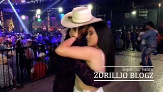 Norteñas 2019 2020 Bailando Con Sax Mix Zorillio Blogz [upl. by Ashwin]