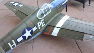 FMS P51B Mustang 1400mm Dallas Darling [upl. by Khichabia]