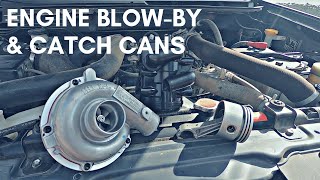 Engine Blow By and Oil Catch Cans  Everything You Need To Know [upl. by Sirac]