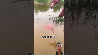 Great bait fishing fish carpfishing fishingtips nature fishermanlife bigfish [upl. by Atworth874]