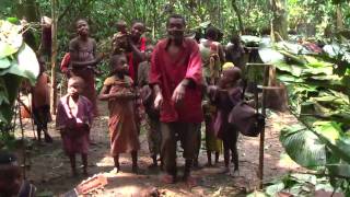 Baka Pygmy guitarists in the cameroon rainforest [upl. by Ttsepmet]