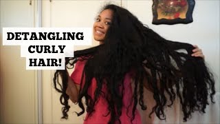 HOW TO Detangle Long Curly Hair  My Detangle Routine [upl. by Mab]