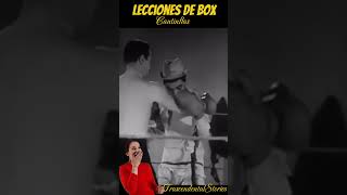 Lecciones de Box cantinflas [upl. by Akeim586]