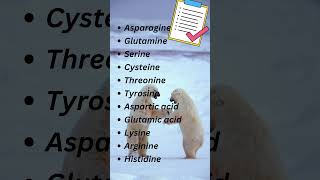 Polar vs NonPolar Amino Acids Natures Yin and Yang aminoacids biochemistry [upl. by Alik]