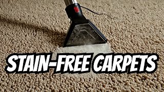 Steam Cleaning Carpet Best Solution for Stains [upl. by Coward265]