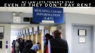 NY Law Lets Tenants Stay Even If They Don’t Pay Rent To Their Landlord [upl. by Nafri677]