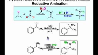 Reductive Amination Mechanism amp Examples [upl. by Leopoldeen]