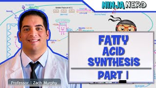 Metabolism  Fatty Acid Synthesis Part 1 [upl. by Copp]