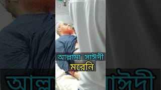 সাঈদী নিয়ে নতুন গজল  allama saidy tumi  সাঈদী নিয়ে গজল bangla new Islamic song  new gojol 2023 [upl. by Anner]