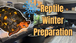 Getting Reptiles Ready For Winter [upl. by Hafirahs]