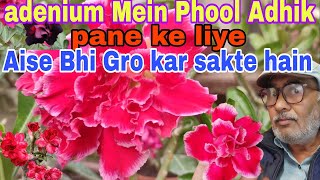 adhiniyam per Phool Adhik padhne ke liye Aise Bhi gro kar sakte hain [upl. by Mount]