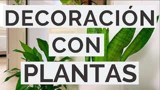 Cómo Decorar Con PLANTAS DE INTERIOR  Minimalismo [upl. by Shaner]