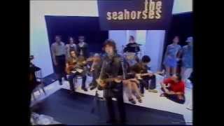 The Seahorses  Love Me And Leave Me  Top Of The Pops  Friday 10th October 1997 [upl. by Nylssej]