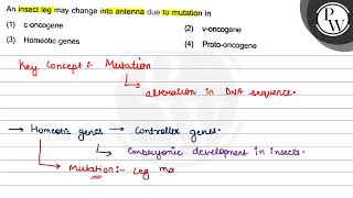 An insect leg may change into antenna due to mutation in 1 concogene 2 voncogene 3 Homeo [upl. by Agnot175]