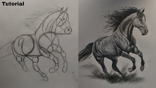 how to draw a horse basic tutorial [upl. by Rufina609]