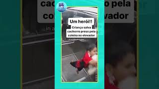 Salvando cachorro no elevador cachorro [upl. by Akived]