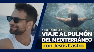 Viaje de película con Jesús Castro a la posidonia un ecosistema marino único en el mundo [upl. by Acile]