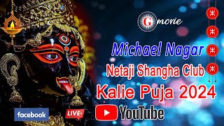 Michael Nagar Netaji Shangha Club Kalie Puja 2024 LIVE [upl. by Esiom]