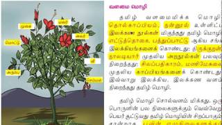 6th standard NEW SYLLABUS TAMIL LESSON 1 PART1 [upl. by Mcdougall]