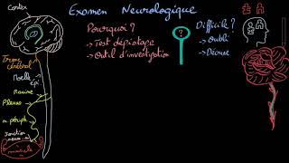 Examen neurologique  Introduction  Docteur Synapse [upl. by Veleda]