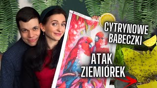 Atak ziemiórek🪰 Pieczemy muffinki cytrynowe 🧁Domowy vlog🌱 Gosia i Miłosz Vlog [upl. by Archie]