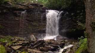 Monongahela National Forest Birthplace of Rivers  Pew amp This American Land [upl. by Aiuqcaj]