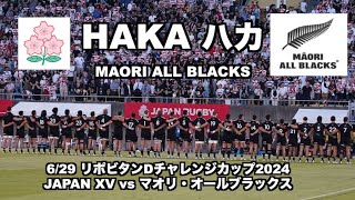 【圧倒的All Blacks 】HAKA Māori All Blacks リポビタンDチャレンジカップ2024 JAPAN XV vs マオリ・オールブラックス＠秩父宮 [upl. by Deuno928]