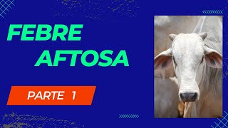 Febre Aftosa Parte 1  AtualizaVet [upl. by Adnoek]