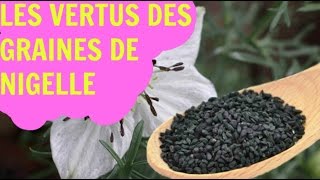 Les vertus de la graine de nigelle [upl. by Bekah]