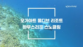 몰디브 오가아트 리조트 하우스리프 스노클링 Maldives oaga art resort snorkeling [upl. by Assilav]