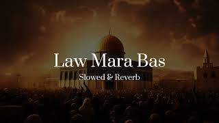 BiGSaM  لو مرة بس  Slowed amp Reverb  Law mara bas [upl. by Nnyled]