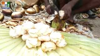 TAATI MUNJALU  Borassus flabellifer  Palmyra Palm Tree Fruit  4K VIDEO street food [upl. by Karon]