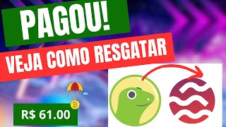 Coingecko Pagou 51 Tokens SEI do Airdrop com a SEI Fundation [upl. by Robson940]