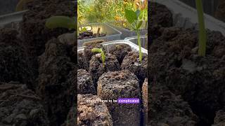 Starting Seeds Outdoors with Compost Soil Blocks [upl. by Allemap]