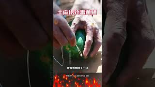 My cousin used a toad as bait to catch a golden eel Fantastic Beasts on TikTok Snake [upl. by Akers]