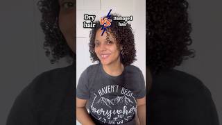 If you have dry hair follow tips posted in the comments  Is my hair dry or damaged haircare [upl. by Irahs680]