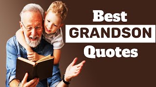 BEST GRANDSON QUOTES [upl. by Notled]