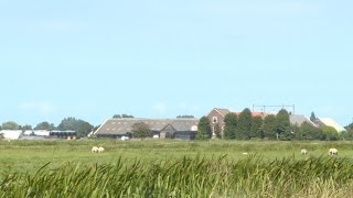 Alphen aan den Rijn wil 10000 nieuwe woningen in Groene Hart [upl. by Dreeda]