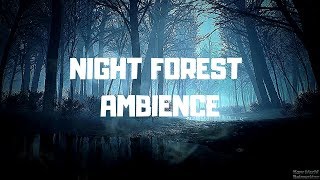 Dark Forest Ambience Soundscape Background Sounds Crows Owls [upl. by Marmion]