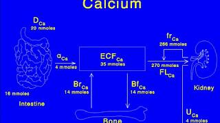 Calcium Nephrolithiasis [upl. by Eterg267]