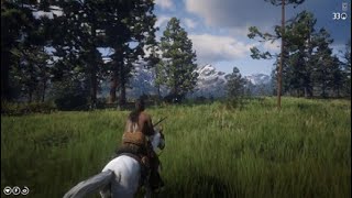 Red Dead Redemption 2 Horse Hunting No Dead eye [upl. by Chrisse]