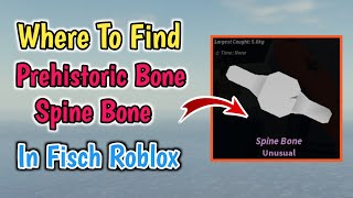 Where To Find Prehistoric Spine Bone In Fisch Roblox  Archaeologist Bestiary Spine Bone Location [upl. by Bird570]