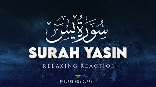 Most Peaceful Quran Recitation of Surah Yasin Yaseen  Beautiful Voice  Surah Holy Quran [upl. by Aneerol]