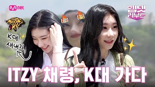 속보 ITZY 채령 K대 가다 찐광기빔 장착한 채령의 돌아버린 대학 생활기 OPEN★ 채령K대가다 82 수 저녁 7시 첫방송 엠넷리부트 EP2 [upl. by Jen359]